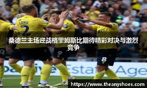 桑德兰主场迎战格里姆斯比期待精彩对决与激烈竞争